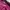 Streetwear Sportswear Windbreaker Pria purple photo 4