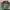 Avirex Vintage Streetwear Bomber jacket Pria green photo 2