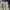 Minimalist Cardigan Wanita white photo 1