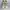 Asics Futurist Sneakers Pria multicolor photo 3