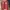 Casual Sweater Wanita red photo 1