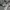 Covernat Casual Sweatshirt Pria gray photo 3