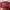 Coach Luxury Casual Crossbody Bag Wanita red photo 3