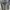Casual Hoody Wanita gray photo 1