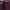 Nina Ricci Vintage Luxury Handbag Wanita burgundy photo 3