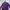 Kappa Vintage Wanita purple photo 3