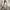Luxury Minimalist Going out dress Wanita tan photo 1