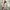 Luxury Minimalist Going Out Dress Wanita Tan