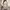 Luxury Minimalist Going Out Dress Wanita Tan