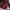 Japanese brand Streetwear Y2K Shoulder bag Wanita burgundy photo 3
