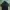 GAP Streetwear Casual Windbreaker Pria black photo 4