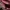 Coach Luxury Shoulder bag Wanita multicolor photo 8