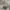 Coach Luxury Shoulder bag Wanita multicolor photo 2