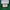 Lee Vintage Sweatshirt Pria green photo 3