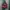 Japanese Brand Vintage Y2K Handbag Wanita Burgundy Red