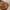 Vivienne Westwood Vintage Y2K Hobo bag Wanita brown photo 4