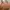 Vivienne Westwood Vintage Y2K Hobo bag Wanita brown photo 3