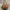 Vivienne Westwood Vintage Y2K Hobo bag Wanita brown photo 1