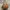 Vivienne Westwood Vintage Y2K Hobo Bag Wanita Brown