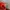 MCM Luxury Minimalist Shoulder bag Wanita red photo 7