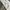 Emporio Armani Vintage Y2K T-shirt Pria white photo 5