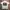 Emporio Armani Vintage Y2K T-shirt Pria white photo 1