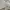 Burberry Casual Polo shirt Pria cream photo 5