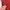 Burton Gorpcore Windbreaker Pria burgundy red photo 2