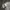 Obey Streetwear Hoody Pria gray photo 3