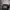 Obey Streetwear Hoody Pria gray photo 2