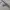 Stussy Vintage Streetwear Hoody Pria gray photo 5