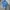 Giordano Casual Polo shirt Pria blue photo 7