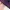 Uniqlo Streetwear Y2K Fleece Pria purple black photo 2