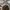 WHO.A.U Vintage Streetwear Sweatshirt Pria gray photo 3