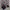 Tommy Hilfiger Luxury Pria multicolor photo 4