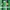 Adidas Vintage Sportswear Jersey Pria green black photo 6