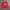 WHO.A.U Vintage Casual Sweatshirt Pria red photo 1