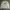 WHO.A.U Vintage Minimalist Sweatshirt Pria White