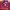 Adidas Vintage Sportswear Jersey Pria burgundy red photo 3