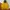 Napapijri Gorpcore Suit Pria Yellow