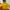 Napapijri Gorpcore Suit Pria yellow photo 6