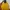 Napapijri Gorpcore Suit Pria yellow photo 2