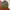 Streetwear Y2K Bomber jacket Wanita multicolor photo 1