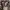 Stussy Vintage Streetwear Short Pria brown photo 4