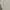 Polo Ralph Lauren Casual Polo shirt Pria white photo 1