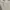 Polo Ralph Lauren Casual Polo Shirt Pria White