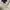 Polo Ralph Lauren Casual Polo shirt Pria white photo 2