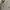Polo Ralph Lauren Casual Polo shirt Pria gray photo 1