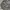 Alpha Industries Vintage Casual Parka Pria gray photo 4