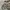 Stone Island Streetwear Casual Puffer Jacket Pria White Gray